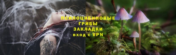 амф Абдулино