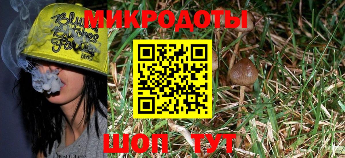 Псилоцибиновые грибы MAGIC MUSHROOMS  Вход с VPN  Комсомольск-на-Амуре 